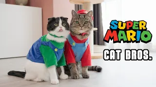 Surprise Goomba Attach | Super Mario Cat Bros