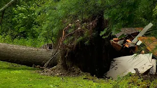 Framingham's a mess, and falling trees are to blame