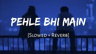 Pehle Bhi Main (slowed+reverb) | Vishal Mishra | animal | Infinite lofi