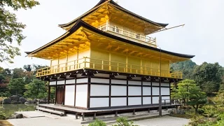 Modern Koi Blog #534 - Live aus Japan: Am Goldenen Tempel in Kyoto