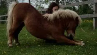 My friend and my playing and training the horses! MUST SEE!