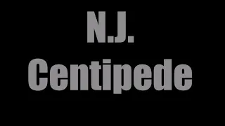 N.J. - Centipede (Offical Video)