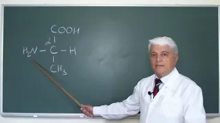 Ефетов К. А. кафедра биохимии. Строение и свойства ферментов. (ферменты это катализаторы:)