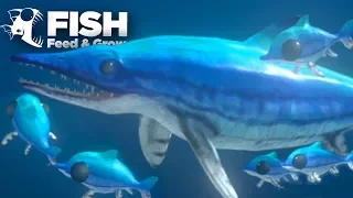 ICHTHYOSAURUS PUPPERS ARE SO CUTE!!! - Feed And Grow | Ep15