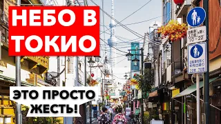 Почему в Японии все небо в проводах? | Настоящая Япония