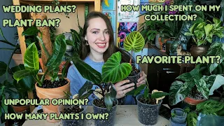 Repotting my beautiful plants and answering your questions