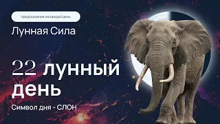 Курс "Лунная сила" - 22 лунный день. Как узнать свое будущее и исполнить мечту всей жизни? Кундалини