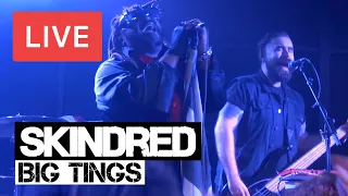 Skindred - Big Tings - LIVE at Tunbridge Wells Forum 2018