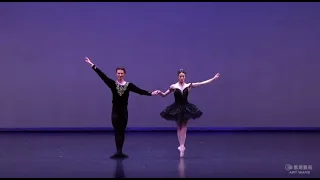 SWAN LAKE - Marianela Núñez & Vadim Muntagirov ( Royal Ballet )