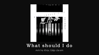 vietsub // What should I do – Anh họ Khúc Giáp của em | 怎么办  – 你的大表哥曲甲