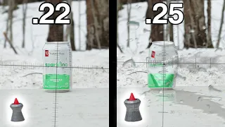.22 vs .25 Comparison Test | Which Is the Best Caliber for Airguns/Airgun Hunting ....???