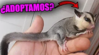 ¿LYNA Y YO ADOPTAMOS A ESTE BEBE? | ¡QUEREMOS ADOPTAR! **SORPRESA**