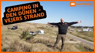 Campingplatz Vejers Strand - Naturcamping in den Dünen, direkt an der Nordsee [Blåvand - Dänemark]