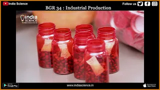 BGR 34: Industrial Production (E)