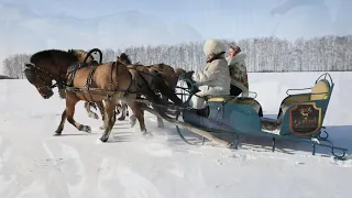 Бубенцы звенят!