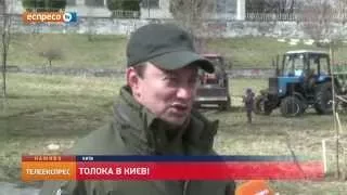 Толока в Києві