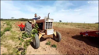 CBT pioneiro do agro no preparo de solo com gradão 18/28 !!! Sera que o ls da conta🤠🚜