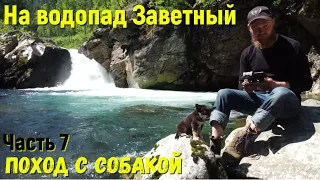 приБАЙКАЛьский водопад Заветный. Поход с собакой в первый раз. бомжТур на автомобиле ОКА.