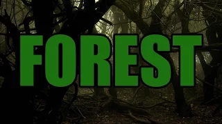 Creepypasta [CZ] - Forest