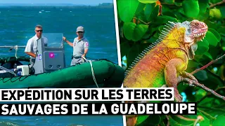 EXPÉDITION SUR LES TERRES SAUVAGES DE LA GUADELOUPE