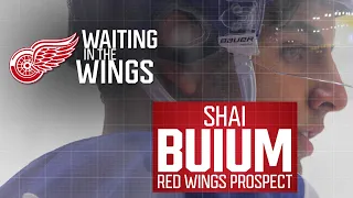 Waiting in the Wings | Shai Buium