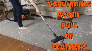 Henry & Hetty Hoover Vacuuming ROOM FULL OF FEATHERS ➡️ ASMR Vacuuming Better Sleep #asmrvacuuming