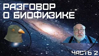 Где находится конец вселенной и что такое теория струн? Разговор с Борисом Бояршиновым. Часть 2.