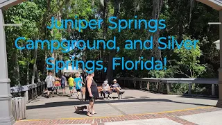 Juniper Springs Campground and Silver Springs, Florida! #explore #neogenian #nobo #lectric