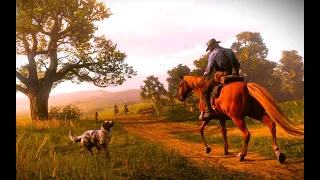 red dead redemption 2 i5 3470 gtx 1050 ti gameplay