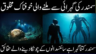 Mariana Trench | Why Do Deep Sea Creatures Evolve Into Giants?