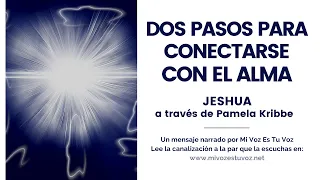 DOS PASOS PARA CONECTARSE CON EL ALMA | Jeshua a través de Pamela Kribbe