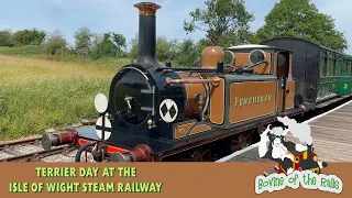 Terrier Day on the Isle Of Wight Steam Railway - 23rd June 2023