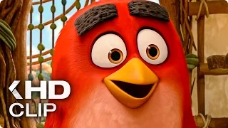 THE ANGRY BIRDS MOVIE Official Clip (2016)
