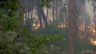 California Wildfire: Oak Fire burns near Yosemite National Park