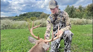 GIANT OHIO BUCK TAKEN WITH BOW (also some doe management going on!)