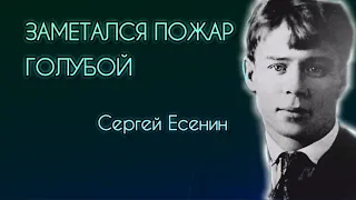 Одно из лучших стихотворений Сергея Есенина. Заметался пожар голубой #девушка читает стихи