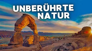 Die SCHÖNHEIT der NATIONALPARKS | USA Roadtrip - Folge 2