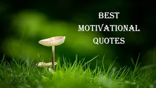 Best Motivational Quotes / Motivational Quotes / Inspiring Quotes / Quotes / Quotzee