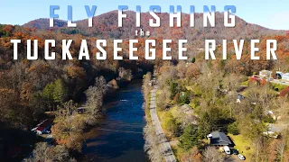 Fly Fishing the Tuckaseegee River for BIG Trout! (New Personal Best)