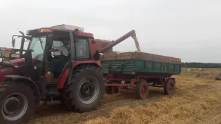 żniwa 2016 czyli case szeździesiątka oraz bizon