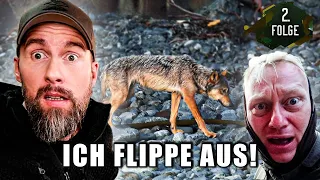 PERFEKTE AUFNAHME vom Küstenwolf bei Knossi & Sascha | Robert Marc Lehmann reagiert  auf 7 vs. Wild