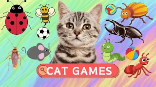 CAT TV - Engaging Games for Cats to Watch - CAT GAMES ⚽🐠🐞🏀⚾🧩