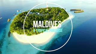 Maldives || Fihalhohi Island Resort || Drone shoot