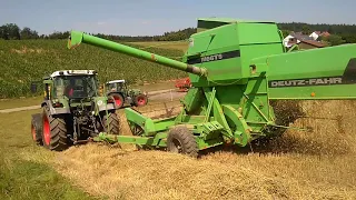 Roggen dreschen mit Deutz Fahr M 66 TS und FENDT 511 C