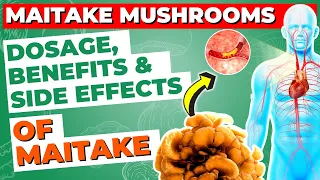 Maitake Mushroom Health Benefits, Side Effects, and Dosage Guide