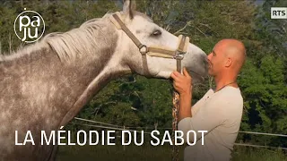 Olivier, un maréchal-ferrant qui vit en famille son amour des chevaux