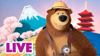 🔴 LIVE STREAM 🎬 Masha and the Bear ✉️ A postcard from vacation 🏖️🍦