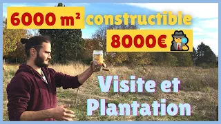 PLANTATION et Visite d'un TERRAIN CONSTRUCTIBLE de plus de 6000 m² pour 8000€ 🧐