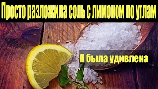 Что произойдёт, если разложить соль с лимоном по углам в доме