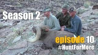 2015 Raffle Desert Bighorn Sheep Hunt *Episode 10